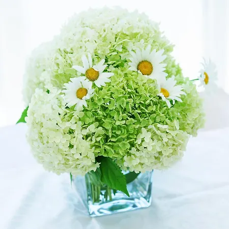 Ante Apartment Vodice