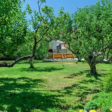 Ante Apartman Vodice