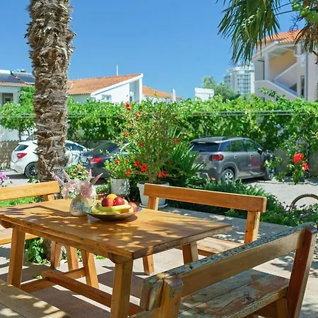 Ante Vodice